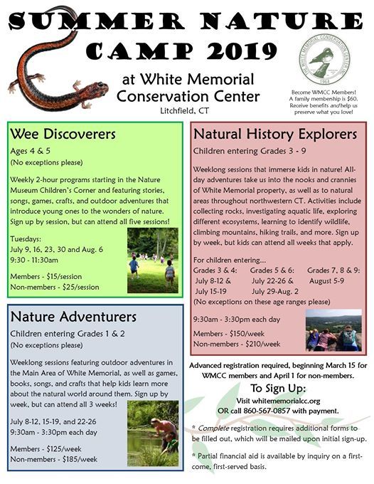Summer Nature Camp Nature Adventurers At The White Memorial
