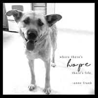 Turtle Mountain Animal Rescue