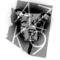 AZK9 Rescue