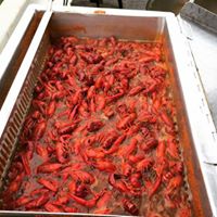 Hawks Boil Up Crawfish Boil at Warehouse 535, Lafayette