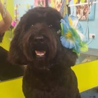 groom room craigleith