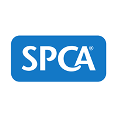 SPCA Palmerston North Centre