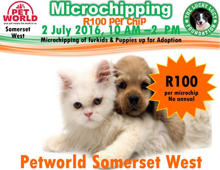 pet world somerset