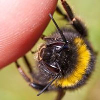 Beekeepers of Southwest Indiana