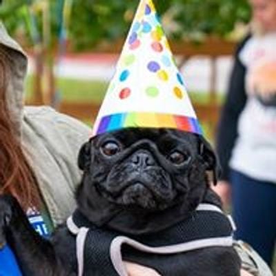 Fort Collins Pug Play Group