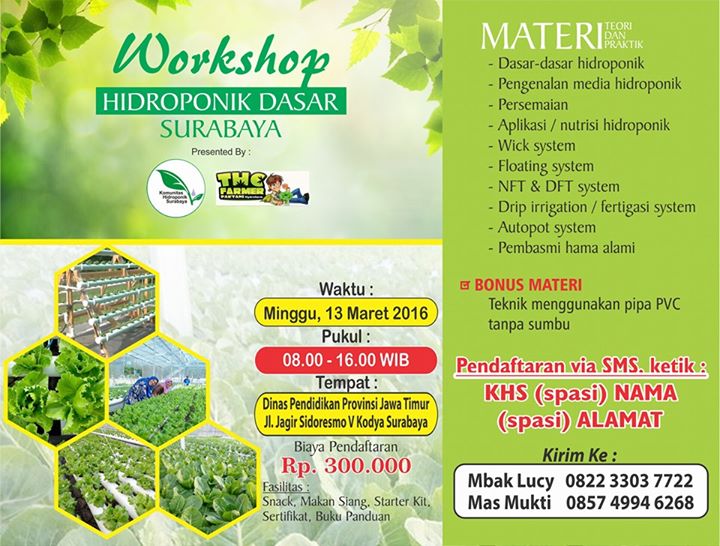 Workshop Hidroponik At Dinas Pendidikan Propinsi Jawa Timur