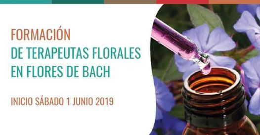 Flores de bach temuco