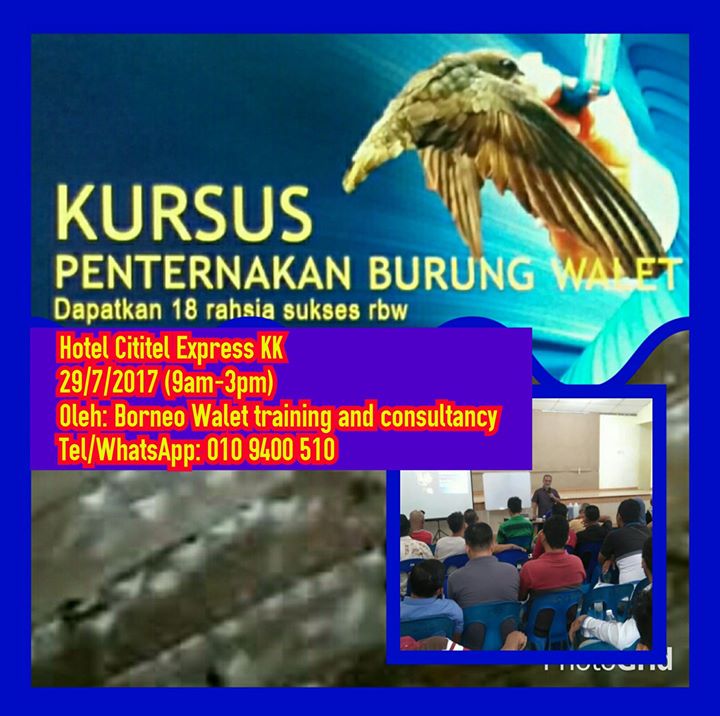 Kursus Burung Walet At Cititel Express Kota Kinabalu Kota Kinabalu