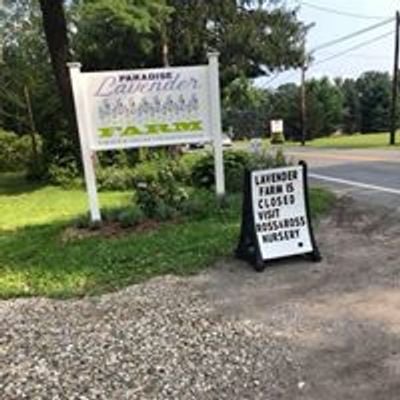 Paradise Lavender Farm