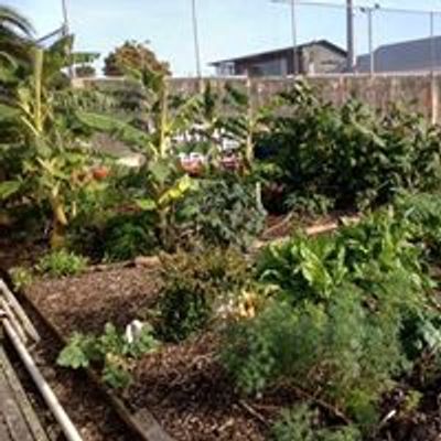 Dignan Street, Point Chevalier Community Garden
