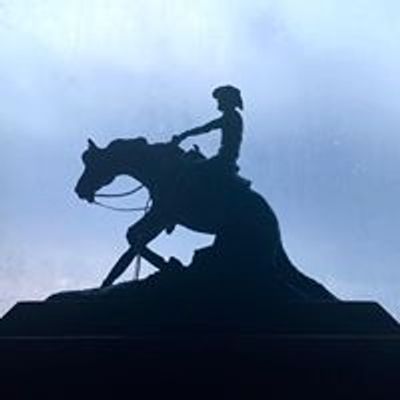 Southwest Missouri Reining Horse Association