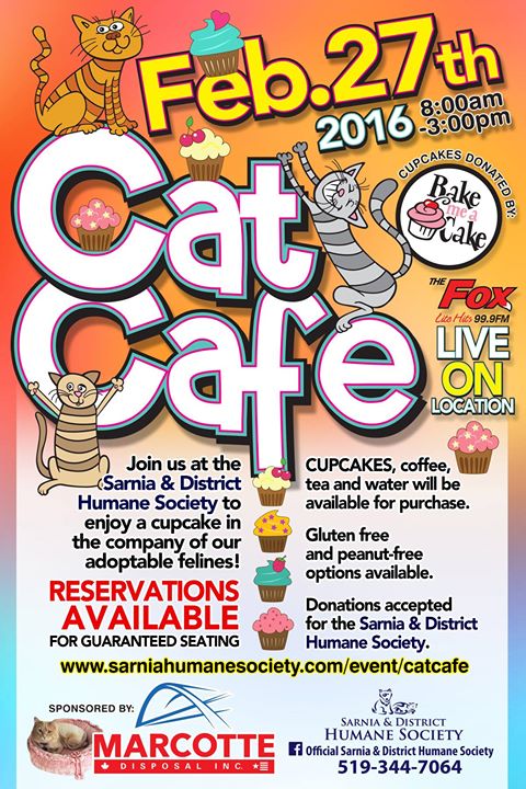 Sarnias First CAT  CAFE  at Official Sarnia District 