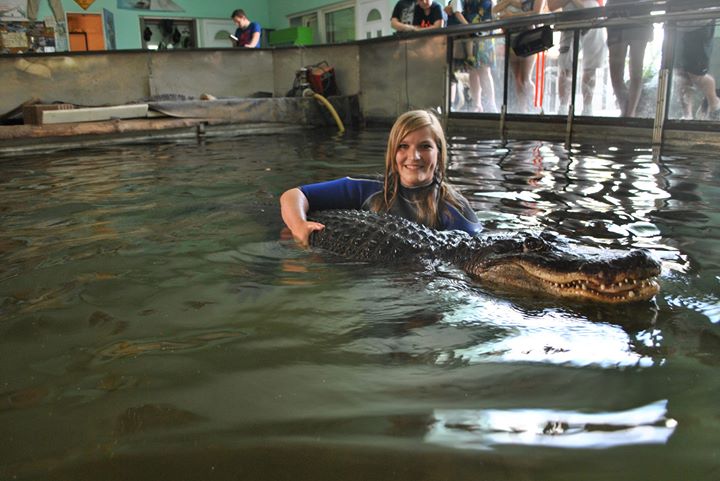 Badesee mit Hund Tipps &amp; Ideen für euren Ausflug