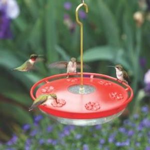Hummingbird Presentation At Wild Birds Unlimited Maryland