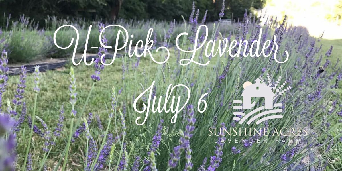 UPick Lavender Ticket Required, Sunshine Acres Lavender Farm, Morrow, 6 July 2019 AllEvents.in
