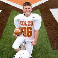 Meadowbrook Mini Colts