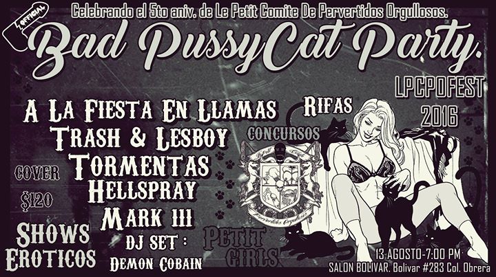 bad pussycat