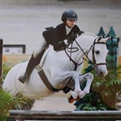 Windhover Farm Welsh Ponies