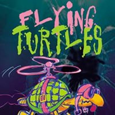 Flying Turtles