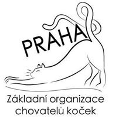 Základní organizace chovatelů koček Praha 8