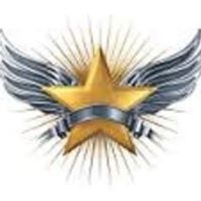 Fabulous Silver Wings