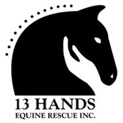 13 Hands Equine Rescue, Inc.