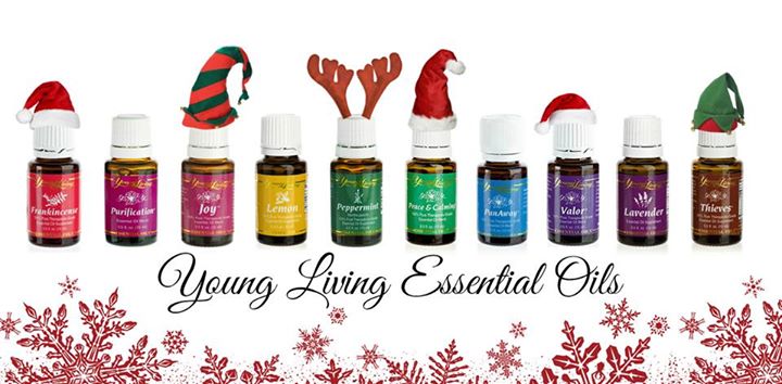 christmas young living banner Christmas Event Oils Take at Essential Young Make n Living
