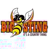 The Big Sting - It's a Country Thing