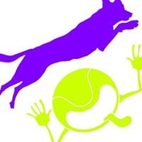 Mostly Harmless Flyball Team