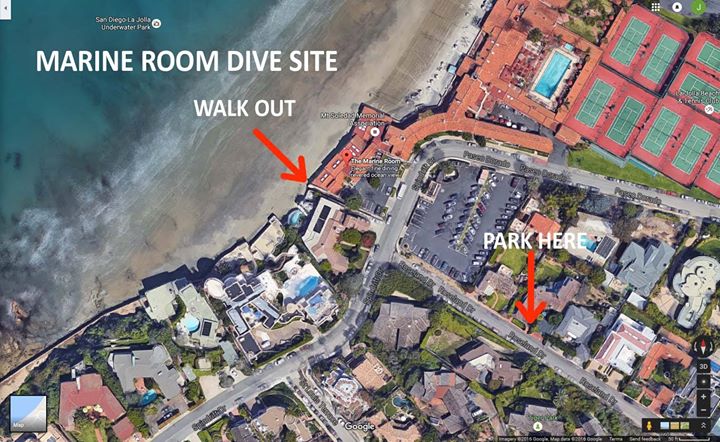 Dive Club Dive At The Marine Room W Ed San Diego