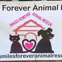 Smiles Forever Animal Rescue