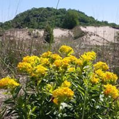 Kitchel Lindquist Hartger Dunes