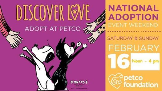 national adoption event weekend