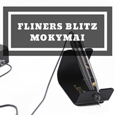 Fliners Blitz Mokymai