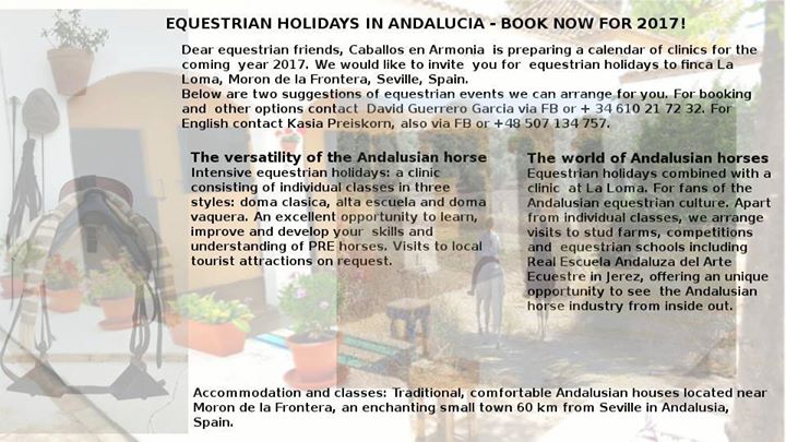 Equestrian Holidays Exclusively For Weighty Riders In Andalucia At