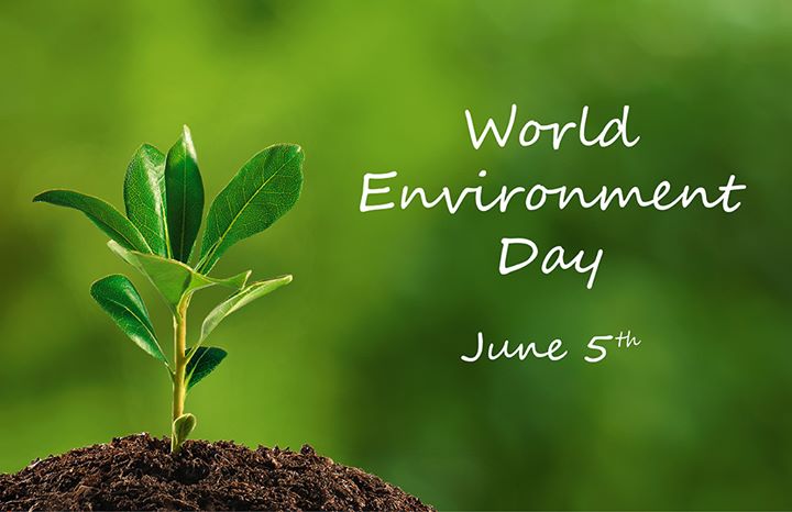 World Environment Day Toowoomba At Lane Annand Kitchener Street