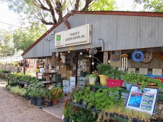 Fall Gardens With Mark Fanick At San Antonio Garden Center