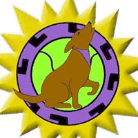 Matsqui Flyball and Agility Club