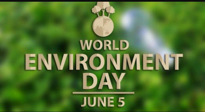 World Environment Day 2017 With Flo Ahmedabad Connectwithnature