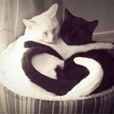 Heart in Hand Rescue Coeur en Main
