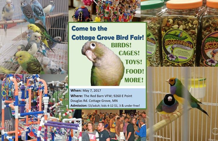 Cottage Grove Bird Fair Cottage Grove
