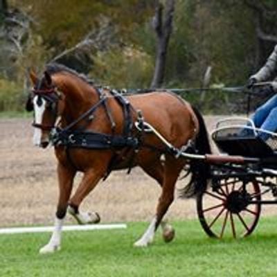 Ontario Carriage Driving Association
