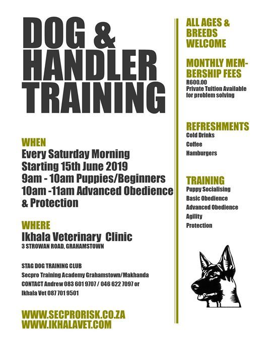 Dog And Handler Training At Ikhala Veterinary Clinic Grahamstown
