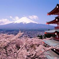 Japan Market