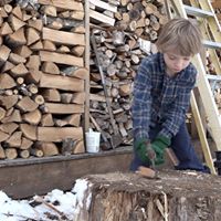 Saving Walden's World
