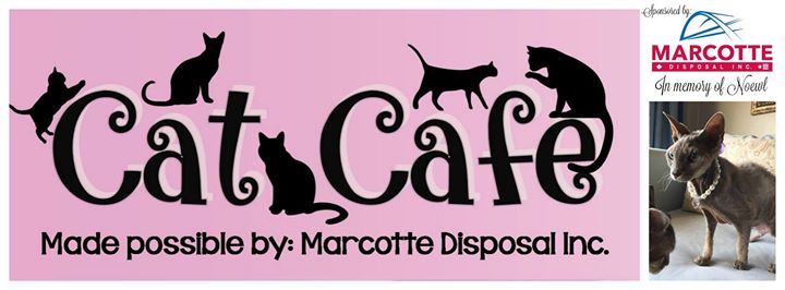  Cat  Cafe  February at Official Sarnia District Humane 