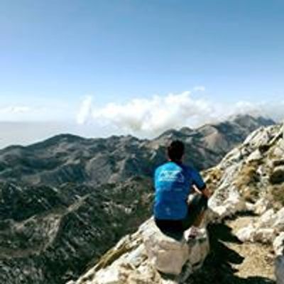 WM Triself - Aktywna Strona Życia