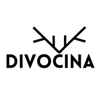 Divočina