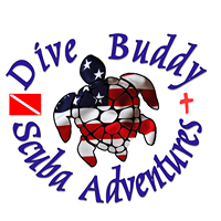 Dive Buddy Scuba Adventures