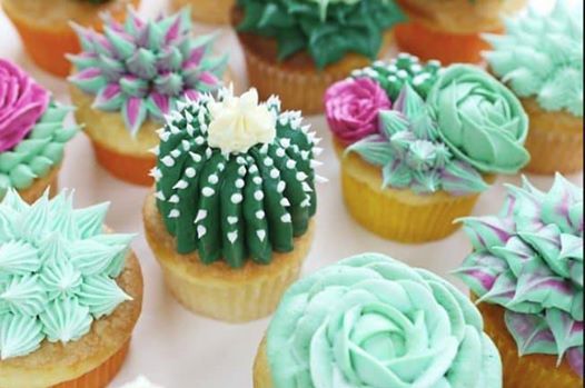 Succulent Cupcake Decorating Workshop Succulent Cupcake Decorating Workshop